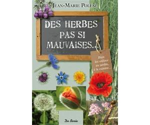 Des herbes pas si mauvaises...: Bien les utiliser au jardin, à la cuisine...