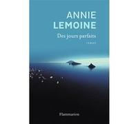 Des jours parfaits Annie Lemoine (Auteur)