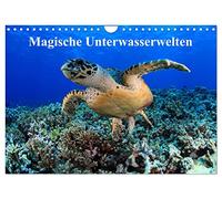 Des mondes sous-marins magiques, Version française (Calendrier mural 2026 DIN A4 portrait), Calendrier CALVENDO mensuel