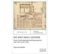 Des Mots Dans L'histoire - Essai D'anthropologie Politique Guarani (Xixe-Xvie Et Xvie-Xixe)