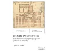 Des Mots Dans L'histoire - Essai D'anthropologie Politique Guarani (Xixe-Xvie Et Xvie-Xixe)