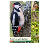 Des oiseaux forestiers timides (Calendrier mural 2026 DIN A4 vertical), CALVENDO calendrier mensuel