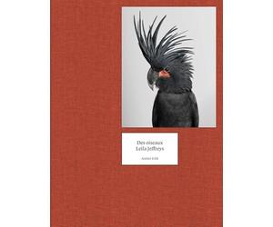 Des Oiseaux - Leila Jeffreys - UK