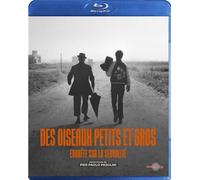 Des oiseaux petits et gros, Enquête sur la sexualité Blu-ray