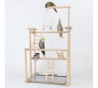 Des oiseaux Playstand, Aire de Jeux pour Oiseaux, Perroquet Oiseau Perch pour Perroquets, Cockatiels, Perruches, Conures, Joue verte(44*31*79CM)