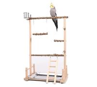 Des oiseaux Playstand, Aire de Jeux pour Oiseaux, Perroquet Oiseau Perch pour Perroquets, Cockatiels, Perruches, Conures, Joue verte(36.5*23*57CM)
