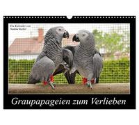Des perroquets gris dont on tombe amoureux, Version française (Calendrier mural 2026 DIN A3 portrait), Calendrier CALVENDO mensuel