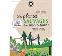 Des plantes sauvages dans mon assiette !