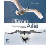 Des plumes et des ailes: Pourquoi et comment volent les oiseaux