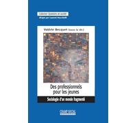 Des professionnels pour les jeunes. Sociologie d'un monde fragmenté