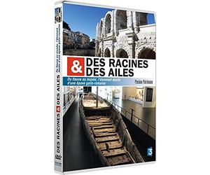 Des racines et des ailes - Passion Patrimoine - Du fleuve au musée, l'étonnant destin d'une épave gallo-romaine