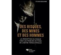 Des risques des mines et des hommes Sylvain Beaupré (Auteur)