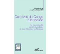 Des rives du Congo à la Meuse La transnationalité dans le cycle belge de José Tshisungu wa Tshisungu - Joséphine Mulumba - L'harmattan - broché - Essai
