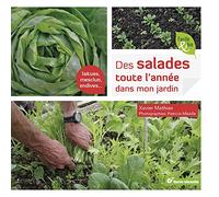 Des salades toute l'année dans mon jardin: Laitues, mesclun, endives ...