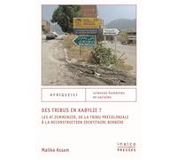 Des tribus en Kabylie ? Les At Zemmenzer, de la tribu précoloniale à la reconstruction identitaire berbère - Malika Assam - Inalco Presses - broché - Essai