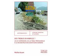 Des tribus en Kabylie ?: Les At Zemmenzer, de la tribu précoloniale à la reconstruction identitaire berbère