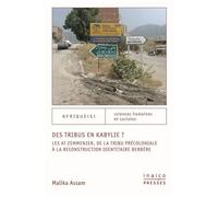Des Tribus En Kabylie ? - Les At Zemmenzer, De La Tribu Précoloniale À La Reconstruction Identitaire Berbère