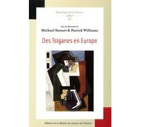 Des Tsiganes en Europe - Michael Stewart - Maison Des Sciences De L'homme - broché - Essai
