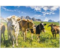 Des Vaches Devant Un Paysage Alpin Idyllique - Premium 1000 Pièces Puzzle - Collection Spéciale De Puzzle Galaxy