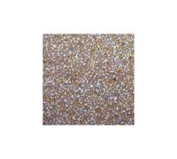 Parexlanko Désactivant de Surface 253 LANKO DÉSACTIVANT pour béton 4-6 mm - 5 L - 25 m²