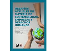 Desafíos actuales en materia de sostenibilidad, empresas y derechos humanos