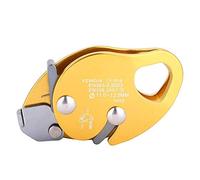 Descendeur d'escalade Professionnel Descente d'arrêt Auto-freinant Ascendeur d'escalade et léger pour Le Sauvetage d'escalade en Rappel, Default