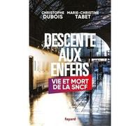 Descente aux enfers Marie-Christine Tabet (Auteur), Christophe Dubois (Auteur)