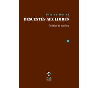 Descentes aux limbes Confins du cinéma - Patrice Rollet - P.o.l. - broché - Essai