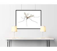 Desconocido Cartouche d'encre générique pour HP No950XL Noir CN045AE/CN049AE 75 ML