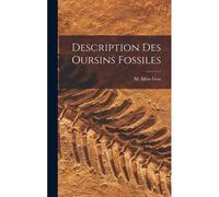 Description Des Oursins Fossiles