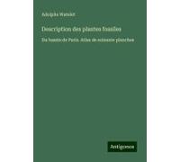 Description Des Plantes Fossiles