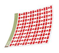 Desert Cactus Lot de 50 autocollants rectangulaires avec motif drapeau du Canada - 2,5 cm - Pour enfants - Pour scrapbooking, voiture, fenêtre, pare-chocs, ordinateur portable R