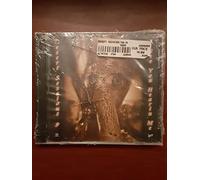 Desert Sessions - The Desert Sessions 9 : I see you hearin me