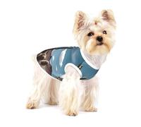 DesertCactiHorizon T-shirt pour chien de qualité supérieure - 100 % coton doux Ropa Para Perros, parfait pour les chiens de petite et moyenne taille, chemise élégante et confortable pour chiens M