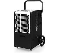 Déshumidificateur Professionnel 66L/Jour, Pompe et Tuyau de Vidange, Minuterie 24H, Blanc