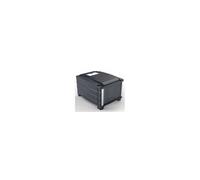 Déshydrateur alimentaire - RGV 110831 - Noir - 800 W