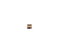 Déshydrateur kitchenchef inox brossé 450w 5 plateaux amovibles
