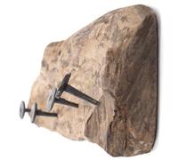 DESIGN DELIGHTS Porte-manteau mural Teakroots de 50" - Racine de teck - 50 x 8 x 12 cm - Vintage