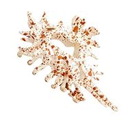 Design en forme de griffe de coquillage : poignée nautique inspirée de la coquille pour filles ou adultes, accessoire sur le thème de l'océan pour les voyages ou les vêtements quotidiens | Support