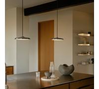 Suspension - ARTIST - Métal - Inox - LED Module Incl. DESIGN FOR THE PEOPLE 2420203034