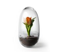 Design House Stockholm Serre Grow Moyen ø11 cm