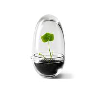 Design House Stockholm Serre Grow Small ø8 cm