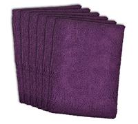 Design Imports DII Eggplant Essential Microfiber Dishtowel (Set of 6)