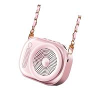 Design léger rechargeable idéal pour les instructeurs, conférences et guides de voyage avec corps en ABS transparent et puissant appareil d'amplification du son portable