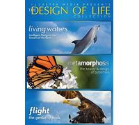 Design of Life Collection 3-DVD Set by Alvin Chea