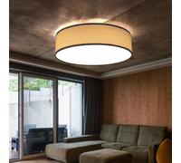 Plafonnier, salon, chambre, luminaire, aspect bois, spot, couloir gris clair