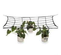 Design sophistiqué de maille élastique couplé à cinq crochets essentiels, adapté aux besoins des jardiniers d'intérieur modernes dans leur tente de culture (120 x 120 cm)