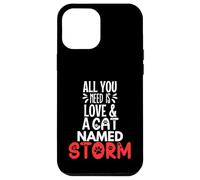 Design tempête avec nom de Chat - All You Need is Love! Coque pour iPhone 12 Pro Max