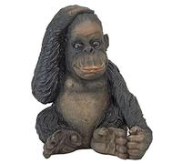 Design Toscano Curly le chimpanzé, statue du drôle singe de la jungle