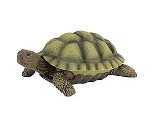 Design Toscano Gilbert la Tortue-Boîte Statue d'Animal de Décoration de Jardin, 22.75 cm, polyrésine, palette complète de couleur